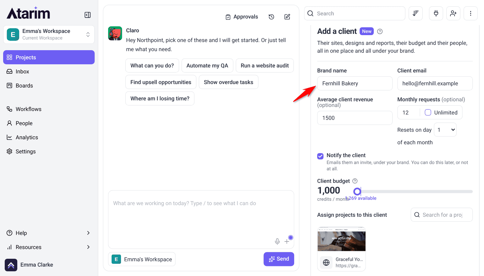 Add a client panel with Brand name, Client email, Average client revenue, Monthly requests, Notify the client and Client budget filled in